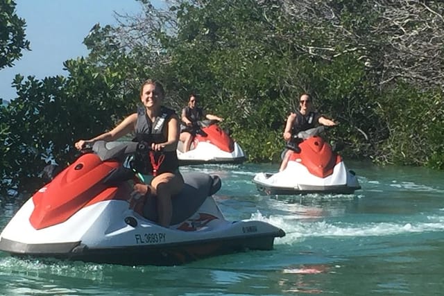 Mangrove Tunnels are a MUST...